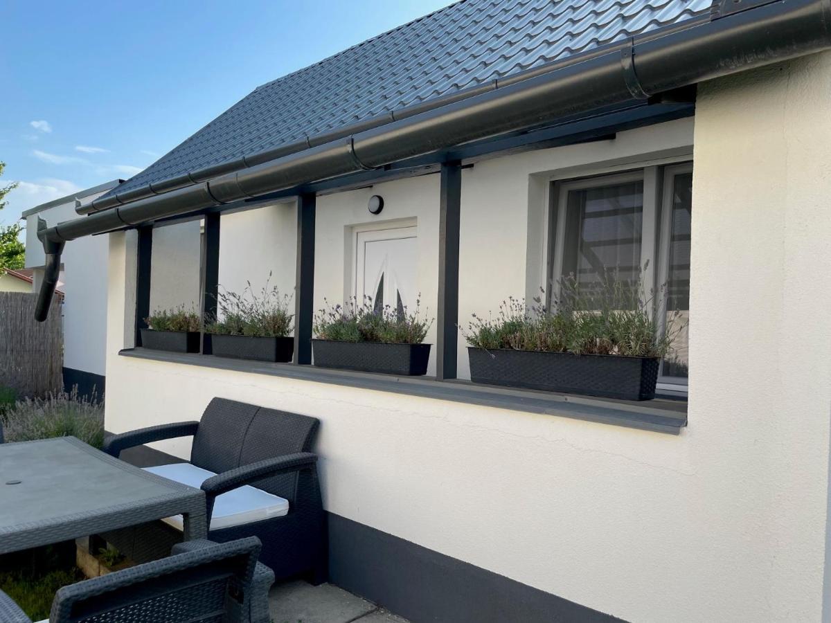 Lavender Garden Apartment Debrecen Luaran gambar
